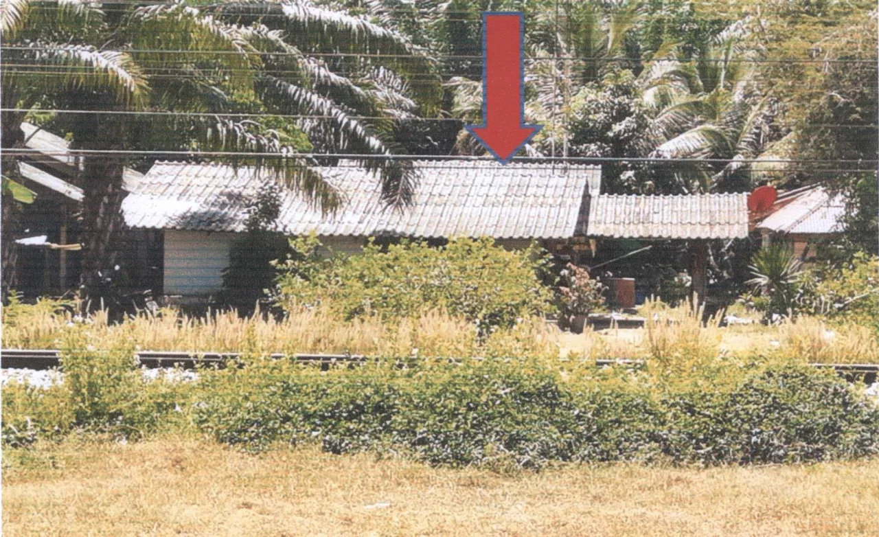 ขายทอดตลาด ที่ดินพร้อมสิ่งปลูกสร้าง ต.เลม็ด อ.ไชยา จ.สุราษฎร์ธานี