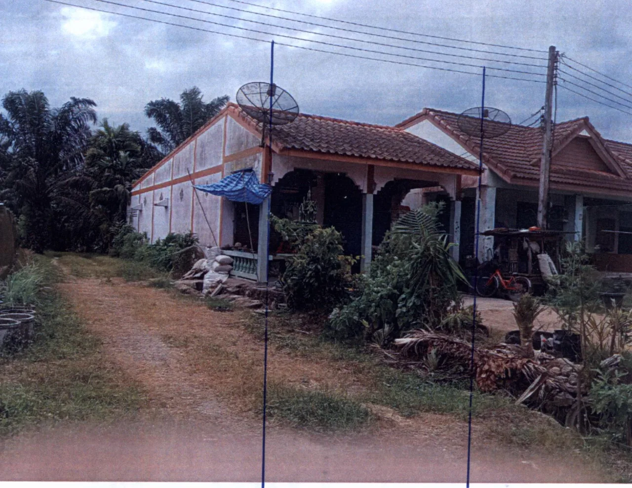 ขายทอดตลาด ที่ดินพร้อมสิ่งปลูกสร้าง ต.บางสวรรค์ อ.พระแสง จ.สุราษฎร์ธานี