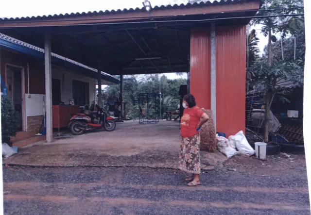 ขายทอดตลาด ที่ดินพร้อมสิ่งปลูกสร้าง ต.ทุ่งเตา อ.บ้านนาสาร จ.สุราษฎร์ธานี