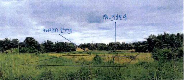ขายทอดตลาด ที่ดินว่างเปล่า ต.บ้านแหง อ.งาว จ.ลำปาง