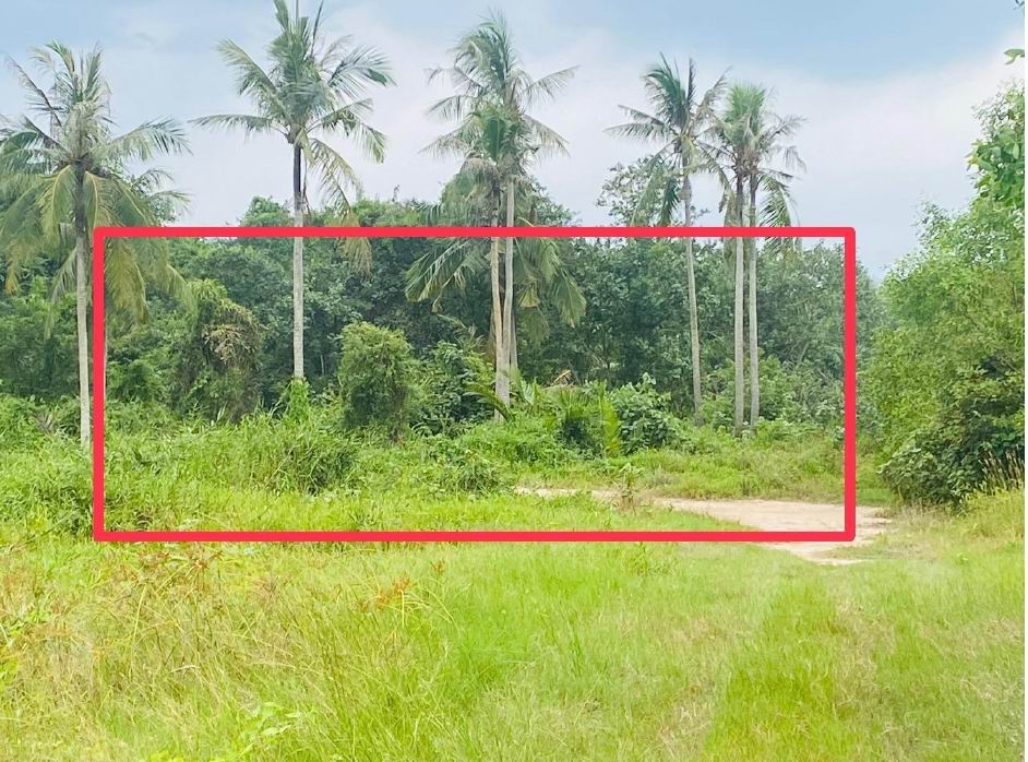 ขายทอดตลาด ที่ดินว่างเปล่า ต.เขาถ่าน อ.ท่าฉาง จ.สุราษฎร์ธานี