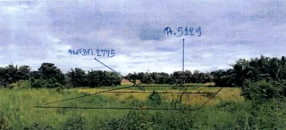 รูปทรัพย์ 2