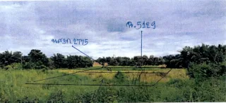 รูปทรัพย์ 3