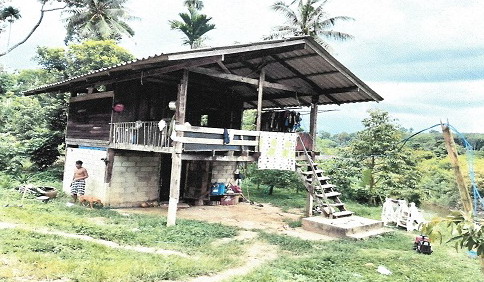 ขายทอดตลาด ที่ดินพร้อมสิ่งปลูกสร้าง ต.ตะกุกเหนือ อ.วิภาวดี จ.สุราษฎร์ธานี