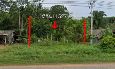 ขายทอดตลาด ที่ดินว่างเปล่า ต.ไทรทอง อ.ชัยบุรี จ.สุราษฎร์ธานี
