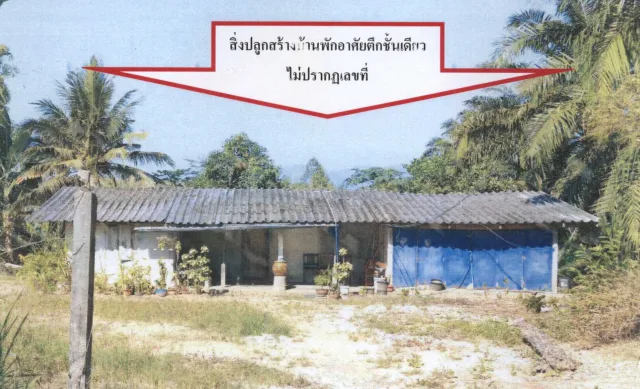 ขายทอดตลาด ที่ดินพร้อมสิ่งปลูกสร้าง ต.ชัยบุรี อ.ชัยบุรี จ.สุราษฎร์ธานี