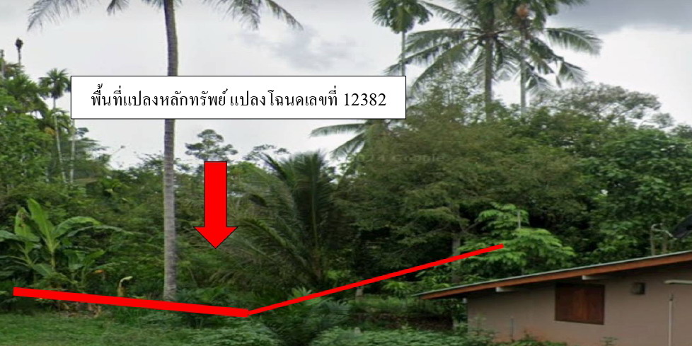 ขายทอดตลาด ที่ดินว่างเปล่า ต.ไทรทอง อ.ชัยบุรี จ.สุราษฎร์ธานี