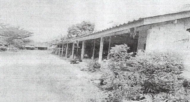 ขายทอดตลาด ที่ดินพร้อมสิ่งปลูกสร้าง ต.คลองพา อ.ท่าชนะ จ.สุราษฎร์ธานี