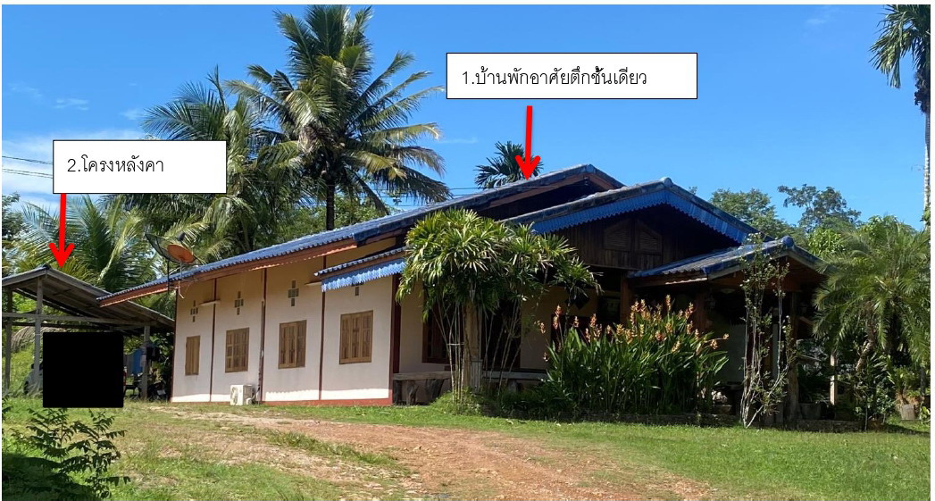 ขายทอดตลาด ที่ดินพร้อมสิ่งปลูกสร้าง ต.ตะกุกเหนือ อ.วิภาวดี จ.สุราษฎร์ธานี
