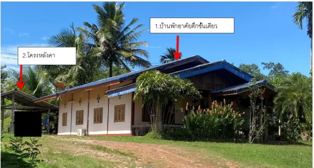 ขายทอดตลาด ที่ดินพร้อมสิ่งปลูกสร้าง ต.ตะกุกเหนือ อ.วิภาวดี จ.สุราษฎร์ธานี