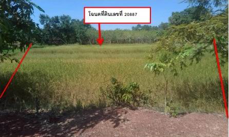 ขายทอดตลาด ที่ดินว่างเปล่า จ.หนองคาย