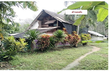 ขายทอดตลาด ที่ดินพร้อมสิ่งปลูกสร้าง ต.ปากหมาก อ.ไชยา จ.สุราษฎร์ธานี