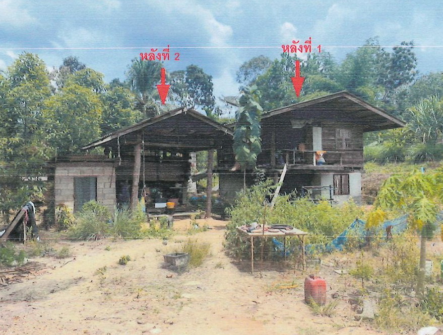ขายทอดตลาด ที่ดินพร้อมสิ่งปลูกสร้าง ต.ตะกุกใต้ อ.วิภาวดี จ.สุราษฎร์ธานี