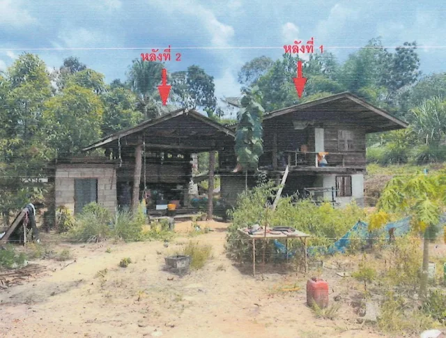 ขายทอดตลาด ที่ดินพร้อมสิ่งปลูกสร้าง ต.ตะกุกใต้ อ.วิภาวดี จ.สุราษฎร์ธานี