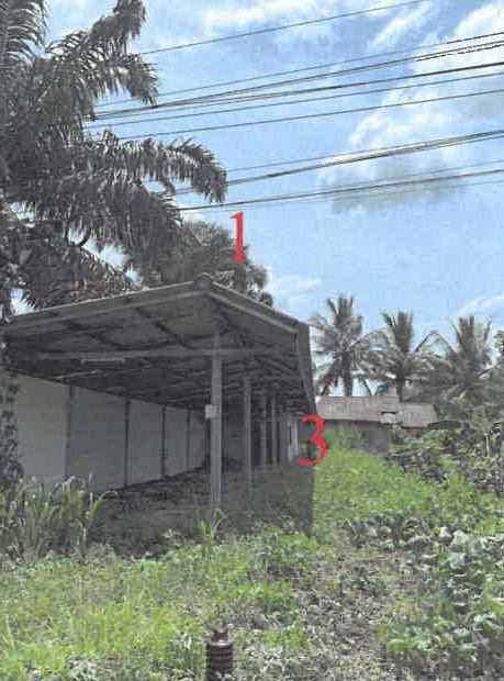 ขายทอดตลาด ที่ดินพร้อมสิ่งปลูกสร้าง ต.ท่าฉาง อ.ท่าฉาง จ.สุราษฎร์ธานี
