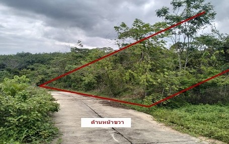 ขายทอดตลาด ที่ดินว่างเปล่า ต.เขาถ่าน อ.ท่าฉาง จ.สุราษฎร์ธานี