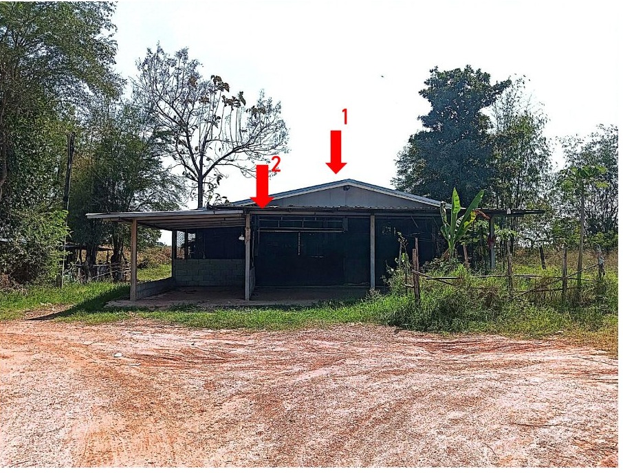 ขายทอดตลาด ที่ดินพร้อมสิ่งปลูกสร้าง ต.พังทุย อ.น้ำพอง จ.ขอนแก่น