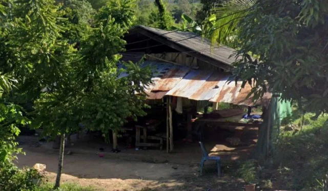 ขายทอดตลาด ที่ดินพร้อมสิ่งปลูกสร้าง ต.ตะกุกเหนือ อ.วิภาวดี จ.สุราษฎร์ธานี