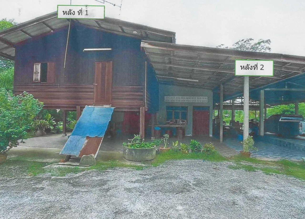 ขายทอดตลาด ที่ดินพร้อมสิ่งปลูกสร้าง ต.คลองไทร อ.ท่าฉาง จ.สุราษฎร์ธานี