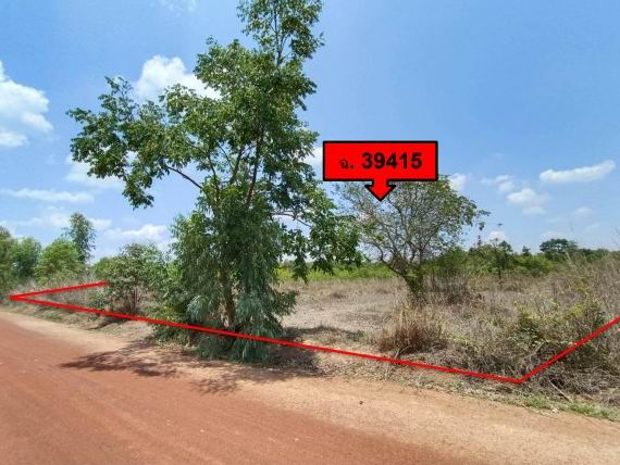 ขายทอดตลาด ที่ดินว่างเปล่า จ.หนองคาย