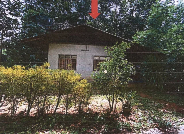 ขายทอดตลาด ที่ดินพร้อมสิ่งปลูกสร้าง ต.ตะกุกใต้ อ.วิภาวดี จ.สุราษฎร์ธานี