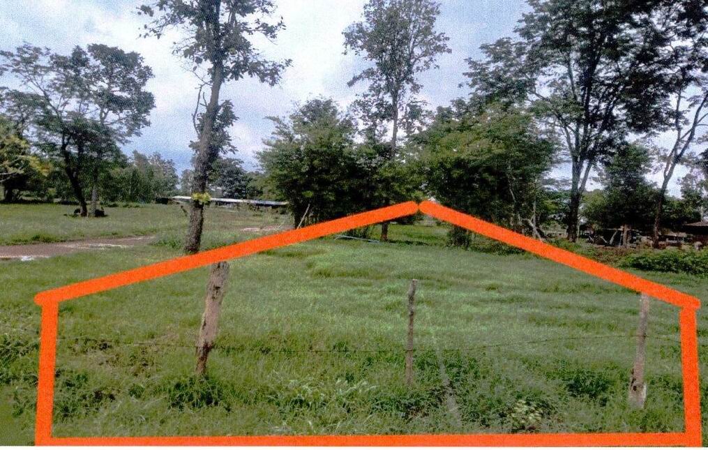 ขายทอดตลาด ที่ดินว่างเปล่า จ.หนองคาย