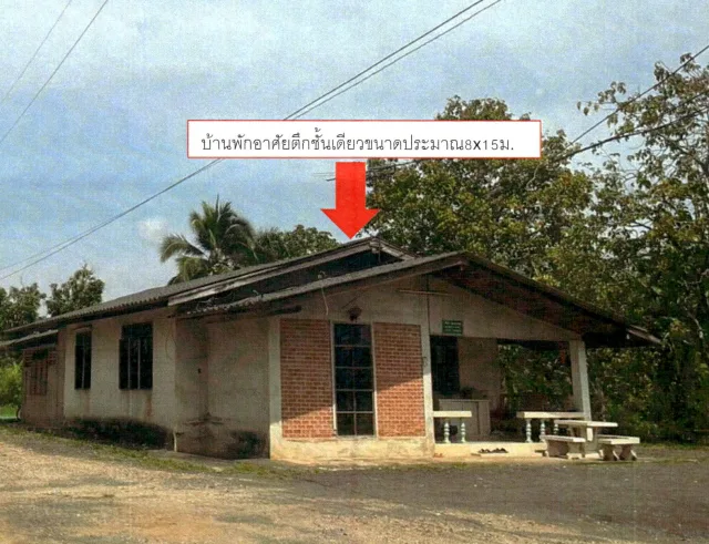 ขายทอดตลาด ที่ดินพร้อมสิ่งปลูกสร้าง ต.ท่าเคย อ.ท่าฉาง จ.สุราษฎร์ธานี