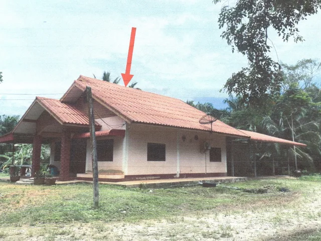 ขายทอดตลาด ที่ดินพร้อมสิ่งปลูกสร้าง ต.คันธุลี อ.ท่าชนะ จ.สุราษฎร์ธานี