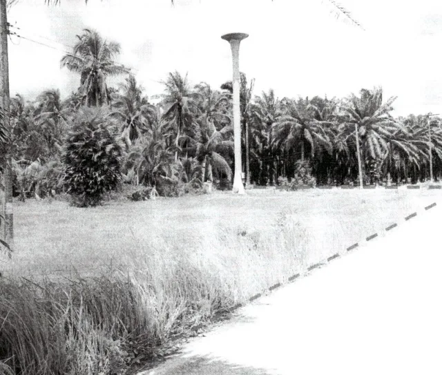 ขายทอดตลาด ที่ดินว่างเปล่า ต.ตะกรบ อ.ไชยา จ.สุราษฎร์ธานี