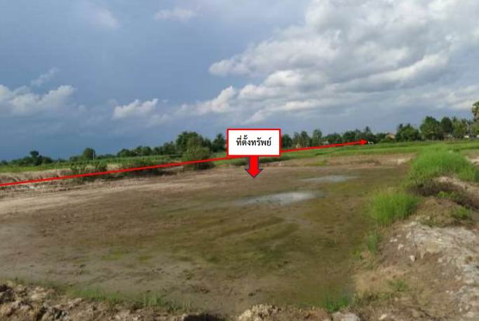 ขายทอดตลาด ที่ดินว่างเปล่า จ.หนองคาย
