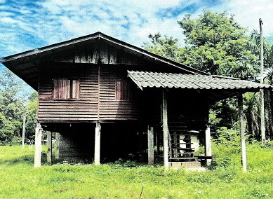 ขายทอดตลาด ที่ดินพร้อมสิ่งปลูกสร้าง ต.ประสงค์ อ.ท่าชนะ จ.สุราษฎร์ธานี