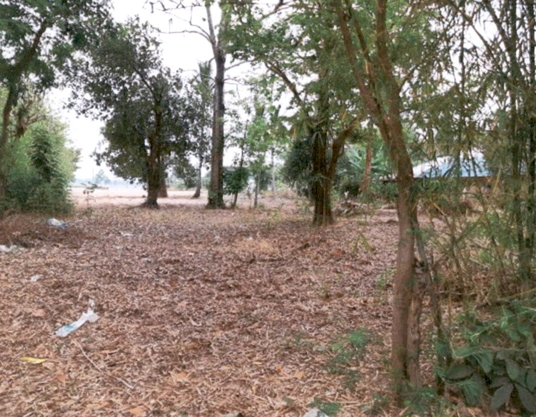 ขายทอดตลาด ที่ดินว่างเปล่า จ.กาฬสินธุ์