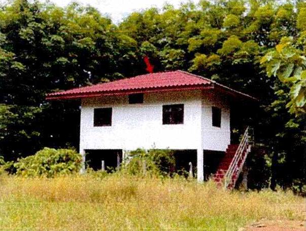 ขายทอดตลาด ที่ดินพร้อมสิ่งปลูกสร้าง ต.รัตนวาปี อ.รัตนวาปี จ.หนองคาย