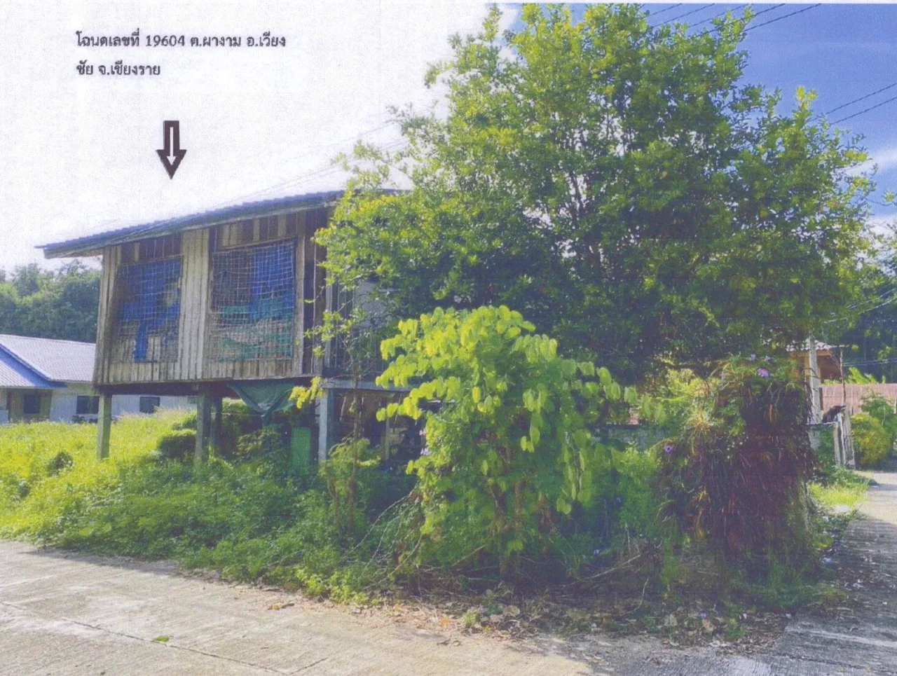 ขายทอดตลาด ที่ดินพร้อมสิ่งปลูกสร้าง ต.ผางาม อ.เวียงชัย จ.เชียงราย