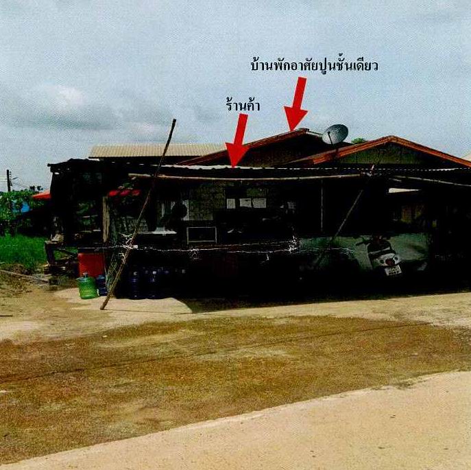 ขายทอดตลาด ที่ดินพร้อมสิ่งปลูกสร้าง ต.ปะโค อ.เมืองหนองคาย จ.หนองคาย