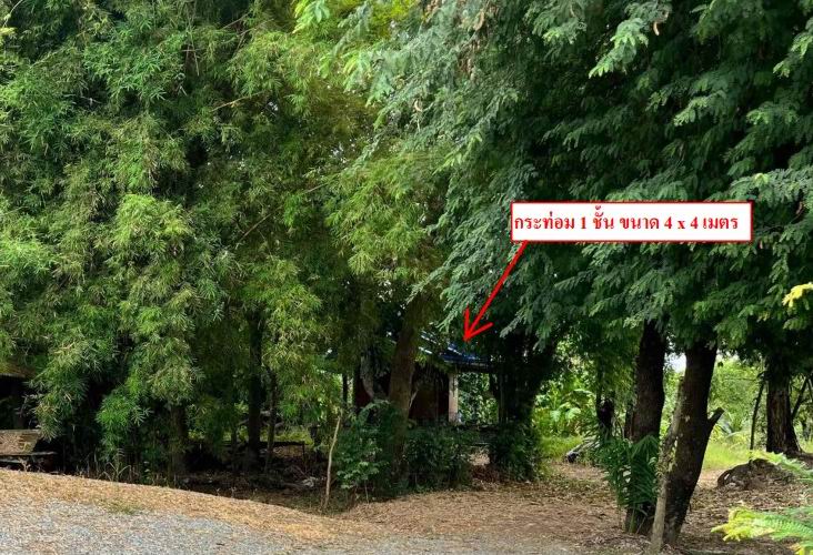 ขายทอดตลาด ที่ดินพร้อมสิ่งปลูกสร้าง ต.หนองปลาปาก อ.ศรีเชียงใหม่ จ.หนองคาย