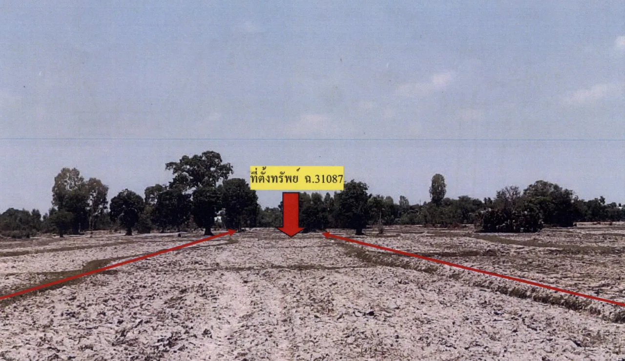 ขายทอดตลาด ที่ดินว่างเปล่า จ.สุรินทร์