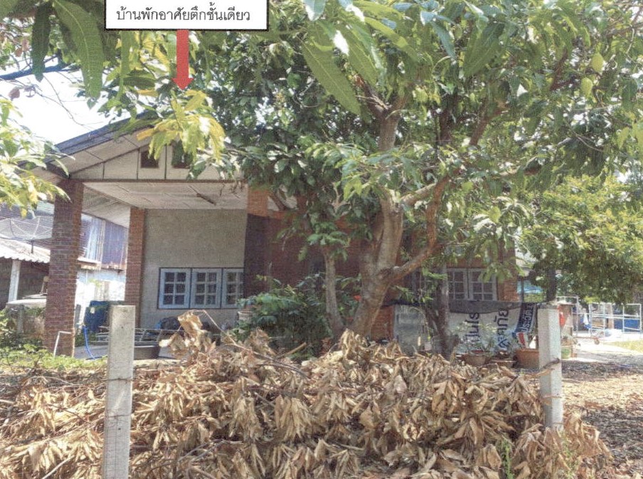 ขายทอดตลาด ที่ดินพร้อมสิ่งปลูกสร้าง ต.บ้านเล่า อ.เมืองชัยภูมิ จ.ชัยภูมิ