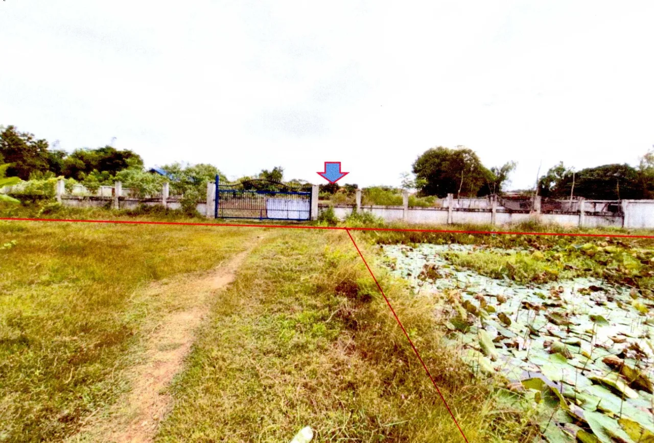 ขายทอดตลาด ที่ดินพร้อมสิ่งปลูกสร้าง ต.หนองกอมเกาะ อ.เมืองหนองคาย จ.หนองคาย