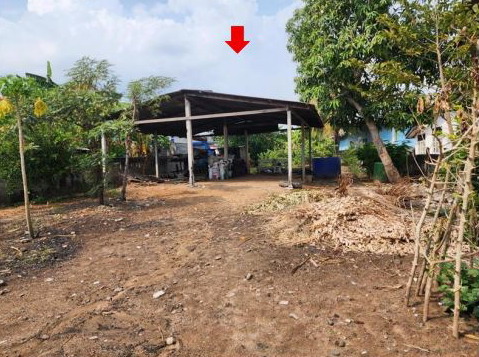 ขายทอดตลาด ที่ดินพร้อมสิ่งปลูกสร้าง ต.สระขุด อ.ชุมพลบุรี จ.สุรินทร์