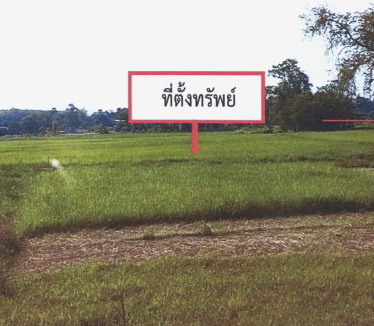 ขายทอดตลาด ที่ดินว่างเปล่า จ.หนองคาย