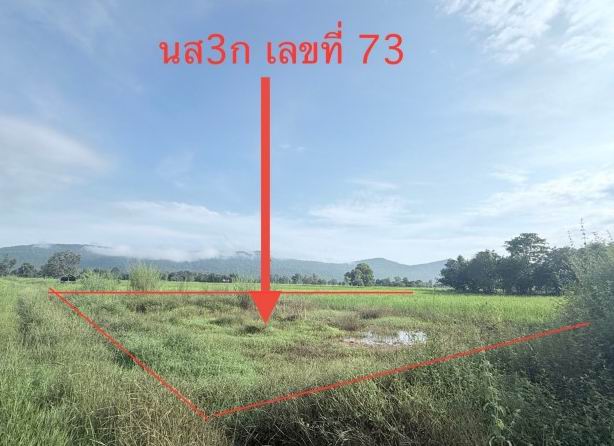 ขายทอดตลาด ที่ดินว่างเปล่า จ.กาฬสินธุ์