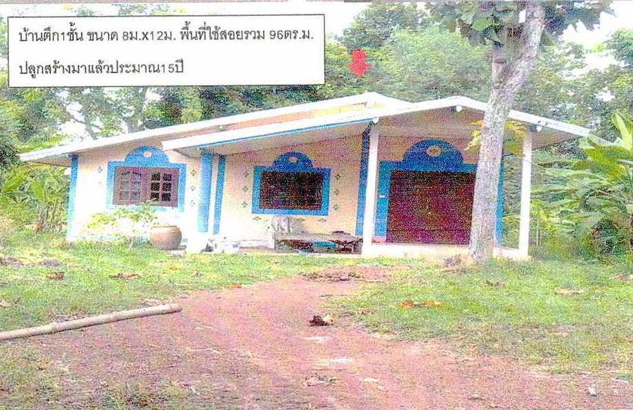 ขายทอดตลาด ที่ดินพร้อมสิ่งปลูกสร้าง ต.พระธาตุบังพวน อ.เมืองหนองคาย จ.หนองคาย