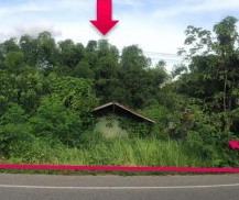 ขายทอดตลาด ที่ดินพร้อมสิ่งปลูกสร้าง ต.กวนวัน อ.เมืองหนองคาย จ.หนองคาย