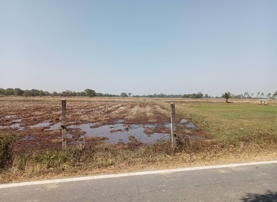 ขายทอดตลาด ที่ดินว่างเปล่า ต.โพนครก อ.ท่าตูม จ.สุรินทร์