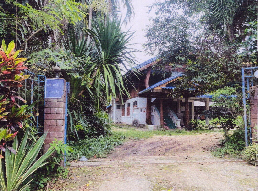 ขายทอดตลาด ที่ดินพร้อมสิ่งปลูกสร้าง ต.เจริญเมือง อ.พาน จ.เชียงราย