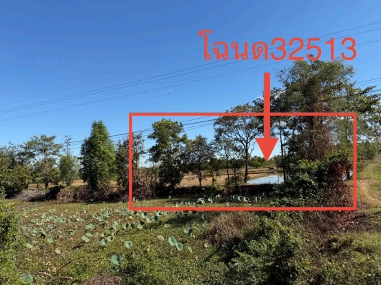 ขายทอดตลาด ที่ดินว่างเปล่า จ.หนองคาย