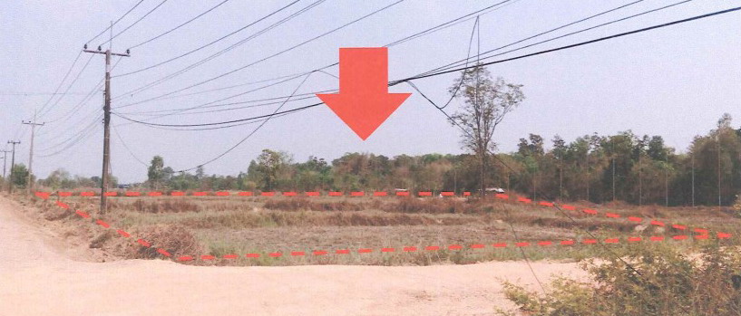 ขายทอดตลาด ที่ดินว่างเปล่า จ.หนองคาย