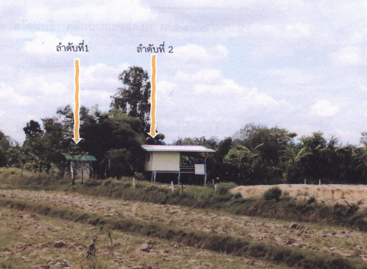 ขายทอดตลาด ที่ดินพร้อมสิ่งปลูกสร้าง ต.หนองเมธี อ.ท่าตูม จ.สุรินทร์
