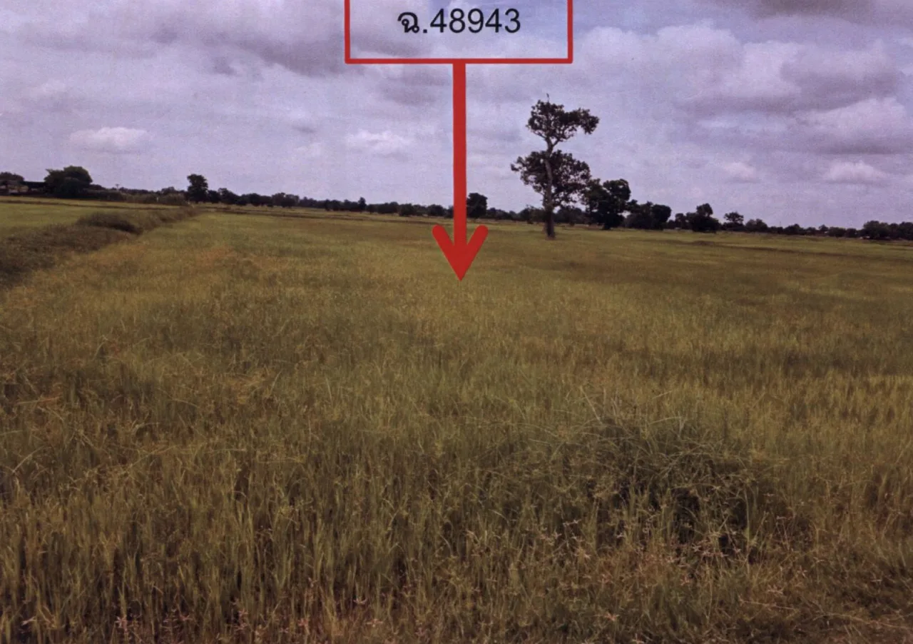 ขายทอดตลาด ที่ดินว่างเปล่า ต.หนองเมธี อ.ท่าตูม จ.สุรินทร์